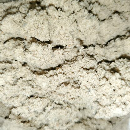 Gypsum closeup