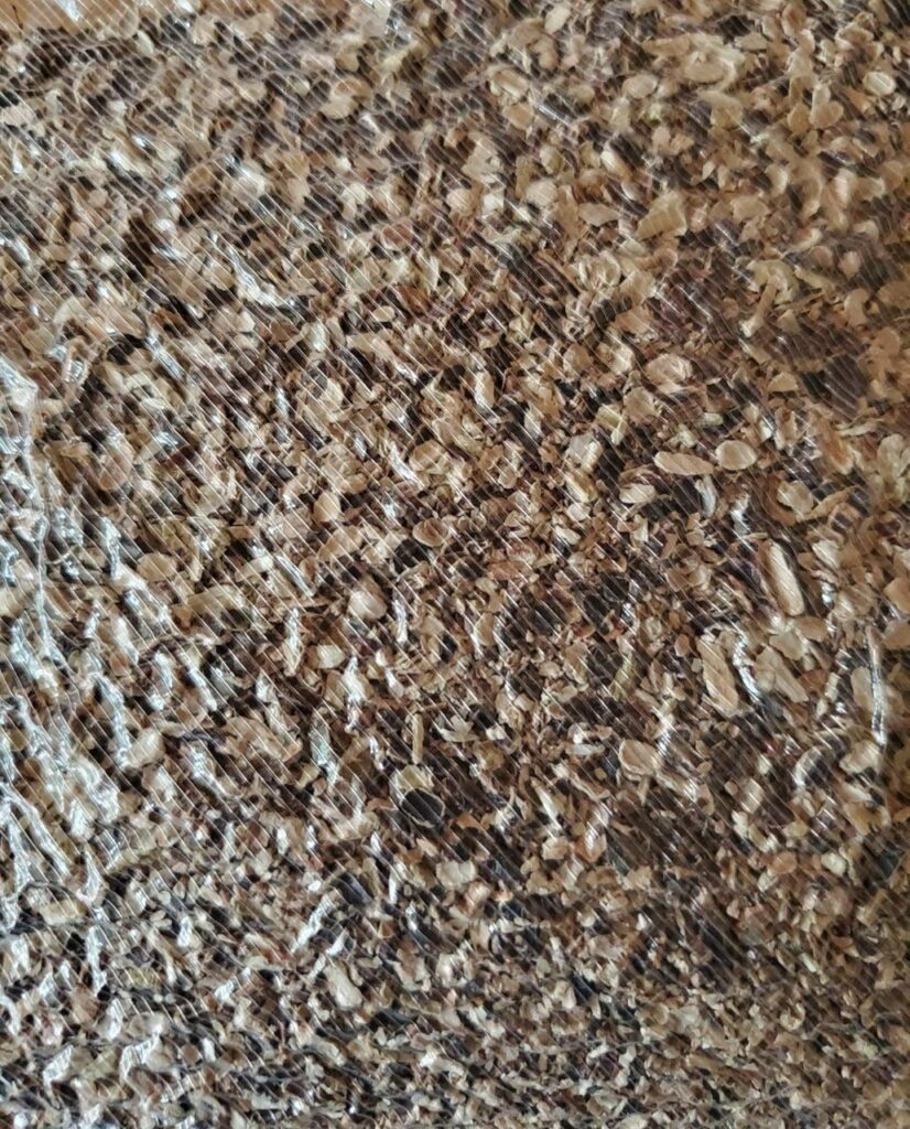 Dried Kelp Flakes [500g] Growstuff Online Shop South Africa